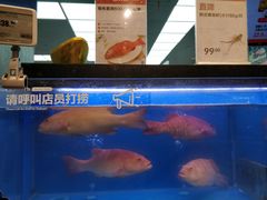 -盒马鲜生(宝地店)