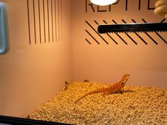 -三旗百汇商品城