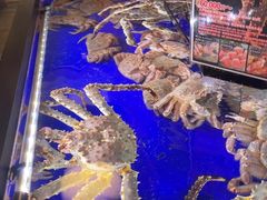 -蟹道乐(道顿堀本店)