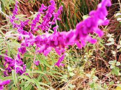 -白鹭湾湿地公园