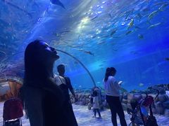 -西安华夏文旅水世界