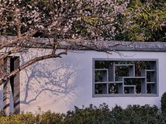 -南京古林公园