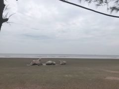 -江山半岛白浪滩景区