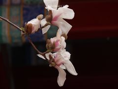 -宣南文化博物馆