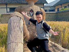 -乌村