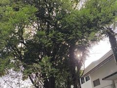 -嘉定博物馆