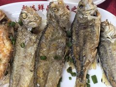 -蛇口康乐快餐鱼仔档(翠苑小区店)