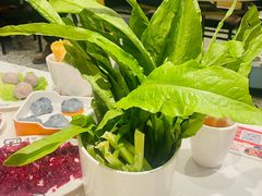 -八合里潮汕鲜牛肉火锅(上海汇智广场店)