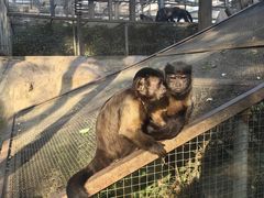 -石家庄市动物园