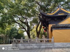 -宝岩生态观光园