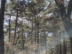 -萨尔浒风景区