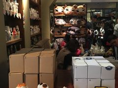 -猫咪博物馆(顶澳仔猫街店)