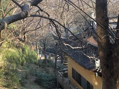 -雨花胜境