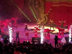 -珠海横琴长隆《卡卡虎奇遇记》