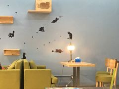 -猫咪咖啡·猫咖(万达广场店)