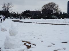 -同济大学(嘉定校区)