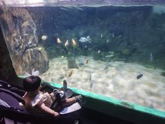 -常州海昌海洋探索馆