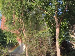 -便宜坊烤鸭店(科创店)