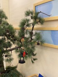 -芳朵美容养生SPA