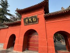 -洛阳白马寺