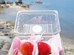 -台场海滨公园船码头