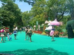 -苏州乐园森林水世界