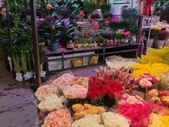 -花鸟鱼虫鲜花绿植市场(玉泉路店)