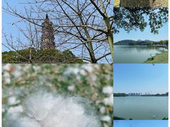 -顺峰山公园
