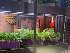 -番食园鲜食火锅(高新店)