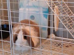-达爱动物医院·犬猫分区·CT·复杂眼科(远洋山水分院)