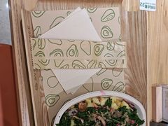 -油梨树AVOCADO TREE(嘉里中心店)