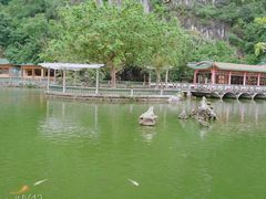 -星湖旅游景区七星岩