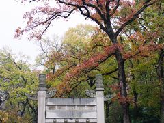 -灵谷景区