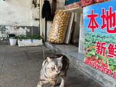 -葑门横街