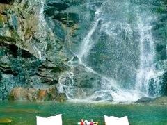 -九龙江国家森林公园