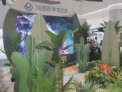 -润园四季椰子鸡火锅(南山海岸城店)