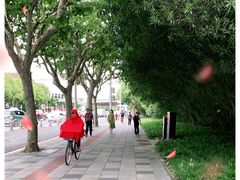 -初花·日本料理