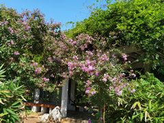 -国家植物园南园