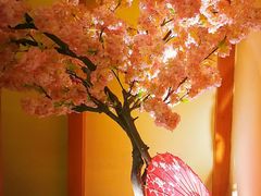 -汤泉良子(金源店)