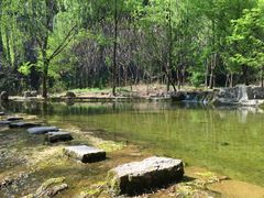 -沕沕水生态风景区
