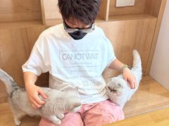 -是阿柴呀！柴犬咖啡·爱喵喵猫咖