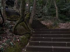 -凤栖山