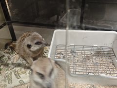 -瑞虹新天地月亮湾
