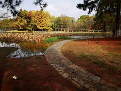 -白塘生态植物园