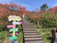-大围山国家森林公园