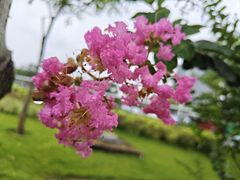 -文华公园(禅城区)