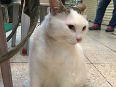 -新记餐厅(香槟大厦店)