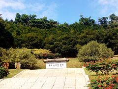 -深圳仙湖植物园