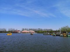 -上海长兴岛郊野公园