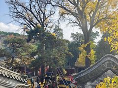 -泰山风景名胜区-普照寺